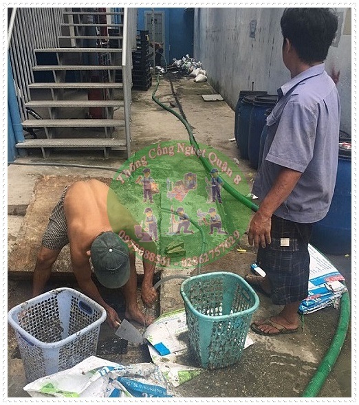 Hầm cầu tự hoại